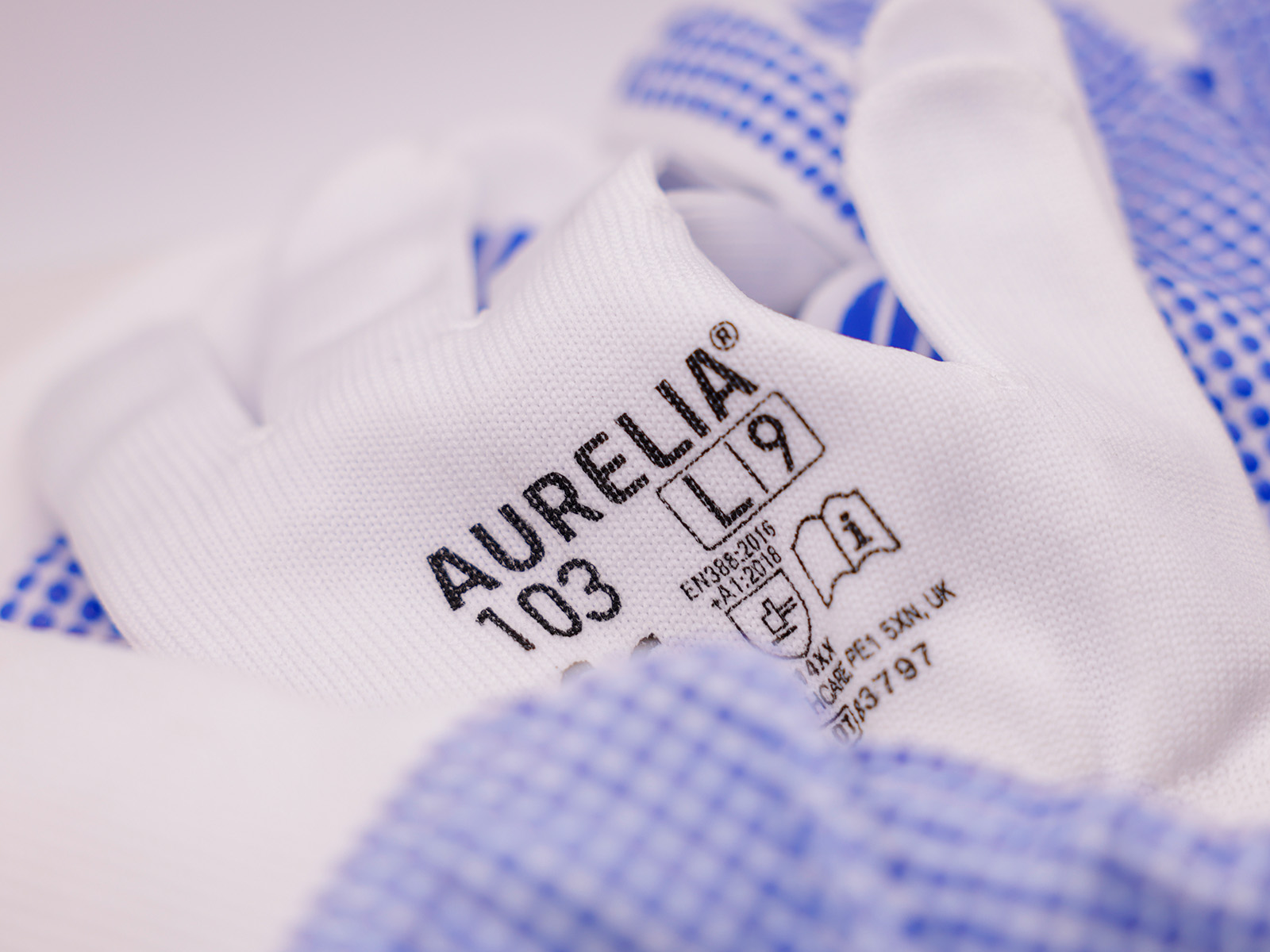 Aurelia 103 Macro 3